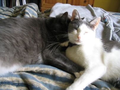 lazy sunday