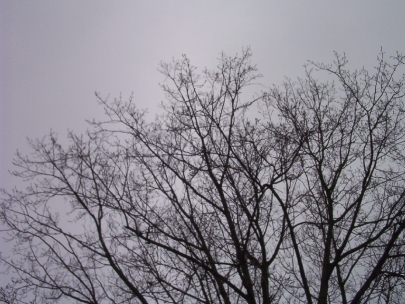 ash gray go away!