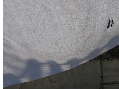 shadowy reflection