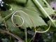 organic sculpture 8