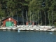 boats and walks?