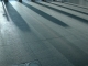 nobody comes
