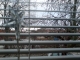 feeling trapped inside