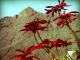 mountain stories #1
