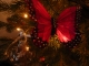 still Christmas