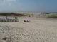 Wide open space is good for thoughts