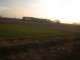 looking for nature
