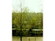oh sweet amsterdam