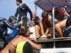 All efforts to resuscitate the turtle were in vain