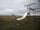 my favorite playground