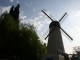 Dutchiness in the Middle East