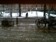 nieve!!