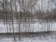 between the hague and rotterdam