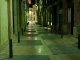 for some reason the only one i took that day (perpignan, france)