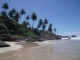 paradise