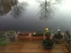 preparing spring