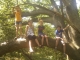 Into the trees 