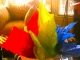 I love giving presents even more than receiving them... No, taking this back ;)