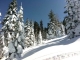 I think I am in paradise :)!!!
