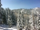 Now I know - I am in paradise!!!