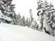 Best snowstorms I ever experinced - they keep on happening at night, and mornings look like this :)