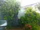 Sometimes it rains in California ...