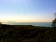 Good morning, California!
