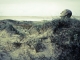 exploring new territories
