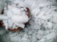 oda al hielo