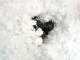 Avalanche Training with Audrey
