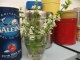 basil flowers