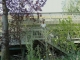 Savage garden