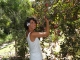 Harvesting plums! I can't be any happier