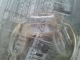 hielo