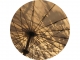 treeshadowparasoleil