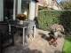 end of summer in mamas garden