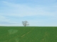Lorraine 2