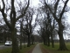 this walk. felt. heavier.
