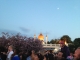 Moriska and evening star