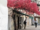 Venice, sun and colours