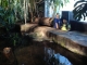 Conversations with a crocodile
