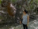 Termite nest