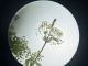 a new planet
