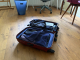 travel companion