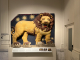 a lion on my path