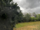 het regen