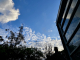 lightchasing cloudgazing 