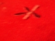 BlurRed Star